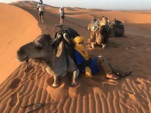Un paseo en camello por las dunas de Erg Chebbi
